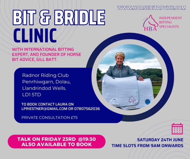 Bit and Bridle Clinic with Gill Batt - 24th June 2023