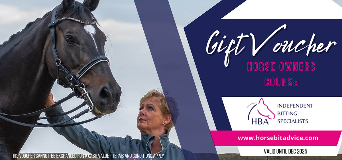 HBA Gift Voucher Double Bit Consultation Buy online here.