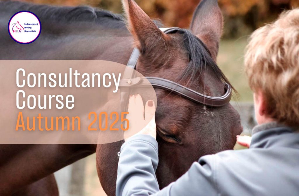 HBA Consultants Course autumn 2025
