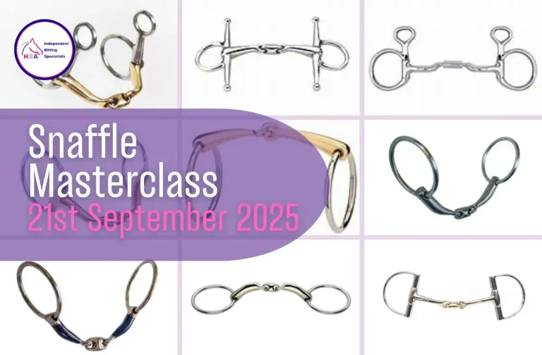 Bits and bitting Masterclass 21st September 2025