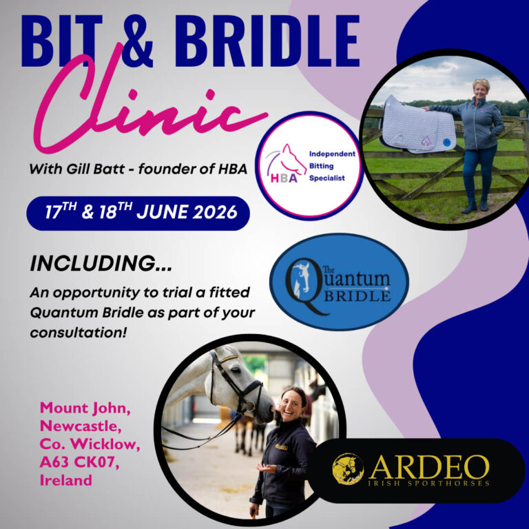 Bit and Bridle Clinic – Co. Wicklow Ireland – June 2026