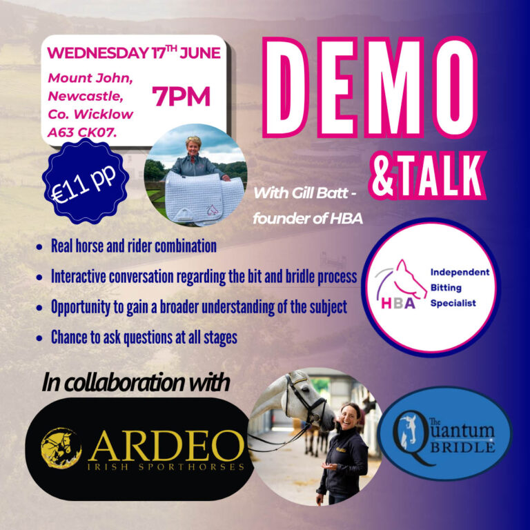 Ireland talk and demo